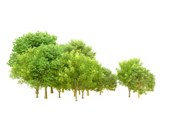 Beyaz arka planda yeşil ağaçlar. 3D görüntüleme. Doğa