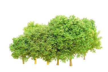 Beyaz arka planda yeşil ağaçlar. 3D görüntüleme. Doğa