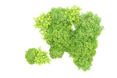 Beyaz arka planda yeşil ağaçlar. 3D görüntüleme. Doğa