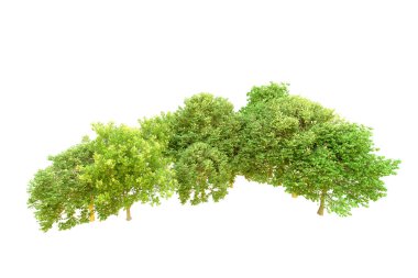 Beyaz arka planda yeşil ağaçlar. 3D görüntüleme. Doğa