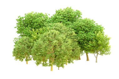Beyaz arka planda yeşil ağaçlar. 3D görüntüleme. Doğa