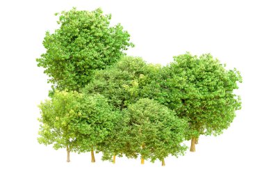 Beyaz arka planda yeşil ağaçlar. 3D görüntüleme. Doğa