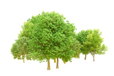 Beyaz arka planda yeşil ağaçlar. 3D görüntüleme. Doğa