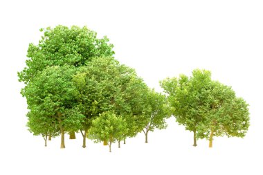 Beyaz arka planda yeşil ağaçlar. 3D görüntüleme. Doğa