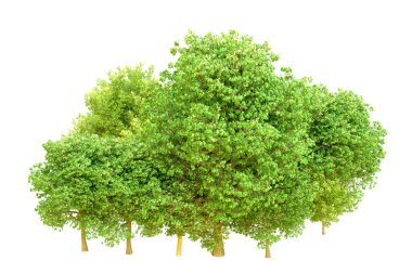 Beyaz arka planda yeşil ağaçlar. 3D görüntüleme. Doğa