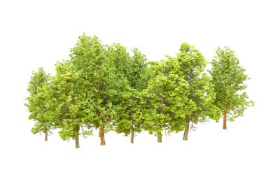 Beyaz arka planda yeşil ağaçlar. 3D görüntüleme. Doğa