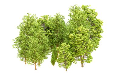 Beyaz arka planda yeşil ağaçlar. 3D görüntüleme. Doğa