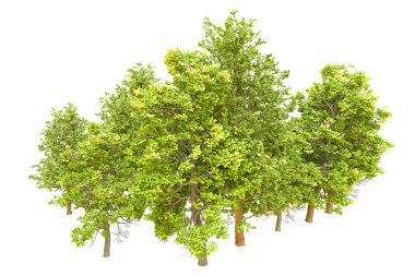 Beyaz arka planda yeşil ağaçlar. 3D görüntüleme. Doğa