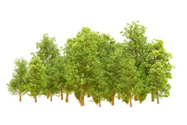 Beyaz arka planda yeşil ağaçlar. 3D görüntüleme. Doğa