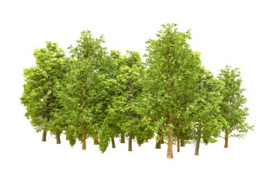 Beyaz arka planda yeşil ağaçlar. 3D görüntüleme. Doğa