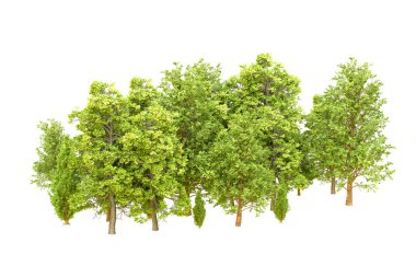 Beyaz arka planda yeşil ağaçlar. 3D görüntüleme. Doğa