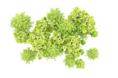 Beyaz arka planda yeşil ağaçlar. 3D görüntüleme. Doğa