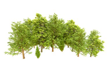 Beyaz arka planda yeşil ağaçlar. 3D görüntüleme. Doğa