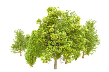 Beyaz arka planda yeşil ağaçlar. 3D görüntüleme. Doğa