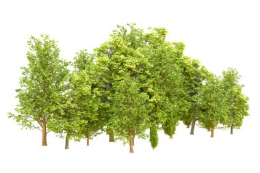 Beyaz arka planda yeşil ağaçlar. 3D görüntüleme. Doğa