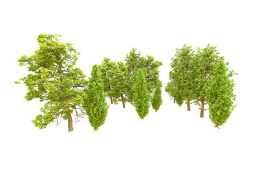 Beyaz arka planda yeşil ağaçlar. 3D görüntüleme. Doğa