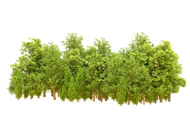 Beyaz arka planda yeşil ağaçlar. 3D görüntüleme. Doğa