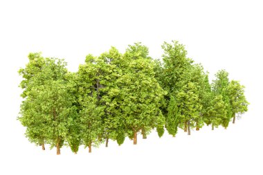 Beyaz arka planda yeşil ağaçlar. 3D görüntüleme. Doğa