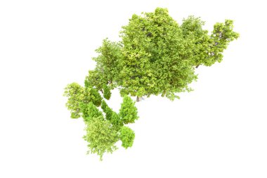 Beyaz arka planda yeşil ağaçlar. 3D görüntüleme. Doğa