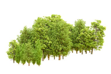 Beyaz arka planda yeşil ağaçlar. 3D görüntüleme. Doğa