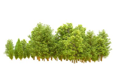 Beyaz arka planda yeşil ağaçlar. 3D görüntüleme. Doğa