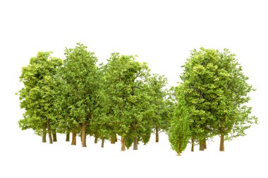 Beyaz arka planda yeşil ağaçlar. 3D görüntüleme. Doğa