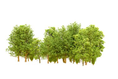 Beyaz arka planda yeşil ağaçlar. 3D görüntüleme. Doğa
