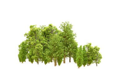 Beyaz arka planda yeşil ağaçlar. 3D görüntüleme. Doğa