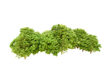 Beyaz arka planda yeşil ağaçlar. 3D görüntüleme. Doğa