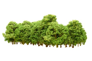 Beyaz arka planda yeşil ağaçlar. 3D görüntüleme. Doğa