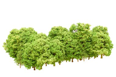 Beyaz arka planda yeşil ağaçlar. 3D görüntüleme. Doğa