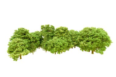 Beyaz arka planda yeşil ağaçlar. 3D görüntüleme. Doğa