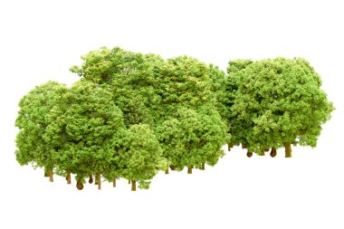 Beyaz arka planda yeşil ağaçlar. 3D görüntüleme. Doğa