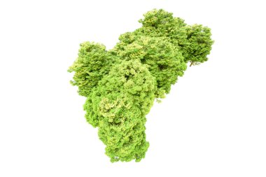 Beyaz arka planda yeşil ağaçlar. 3D görüntüleme. Doğa