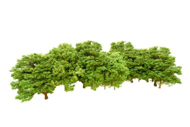 Beyaz arka planda yeşil ağaçlar. 3D görüntüleme. Doğa