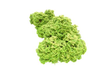 Beyaz arka planda yeşil ağaçlar. 3D görüntüleme. Doğa