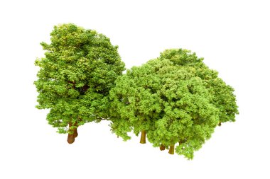 Beyaz arka planda yeşil ağaçlar. 3D görüntüleme. Doğa