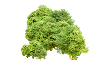 Beyaz arka planda yeşil ağaçlar. 3D görüntüleme. Doğa