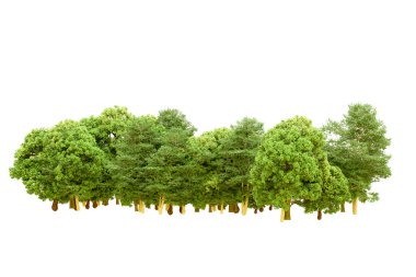 Beyaz arka planda yeşil ağaçlar. 3D görüntüleme. Doğa