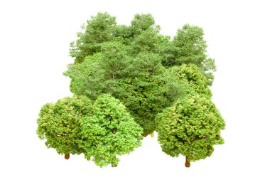 Beyaz arka planda yeşil ağaçlar. 3D görüntüleme. Doğa