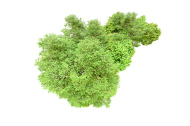 Beyaz arka planda yeşil ağaçlar. 3D görüntüleme. Doğa