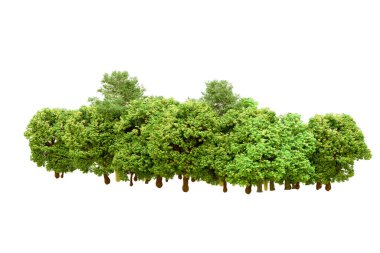 Beyaz arka planda yeşil ağaçlar. 3D görüntüleme. Doğa