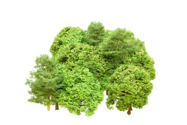 Beyaz arka planda yeşil ağaçlar. 3D görüntüleme. Doğa