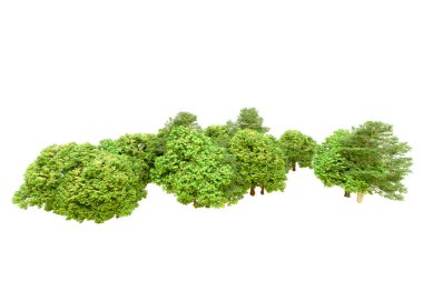 Beyaz arka planda yeşil ağaçlar. 3D görüntüleme. Doğa