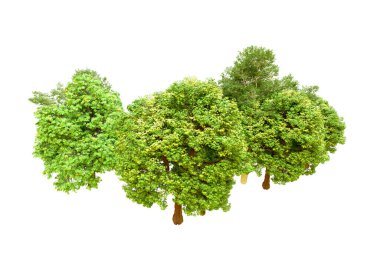 Beyaz arka planda yeşil ağaçlar. 3D görüntüleme. Doğa