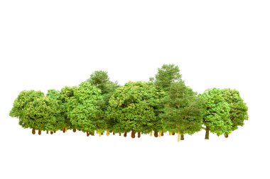 Beyaz arka planda yeşil ağaçlar. 3D görüntüleme. Doğa