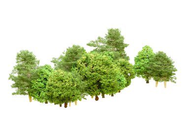 Beyaz arka planda yeşil ağaçlar. 3D görüntüleme. Doğa