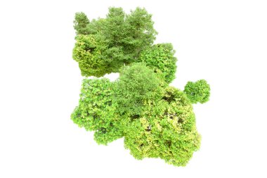 Beyaz arka planda yeşil ağaçlar. 3D görüntüleme. Doğa