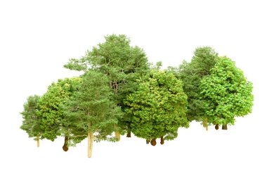 Beyaz arka planda yeşil ağaçlar. 3D görüntüleme. Doğa