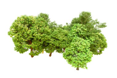 Beyaz arka planda yeşil ağaçlar. 3D görüntüleme. Doğa